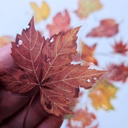 The Turtle Journal - Maple Leaf PET Sticker Set (pack 20) - Autumn Garden Collection - Maple Leaves - Browns, PET Plastic Durable Scrapbooking Journaling Stickers Set of 20 - Australian Paper Crafting Supplies