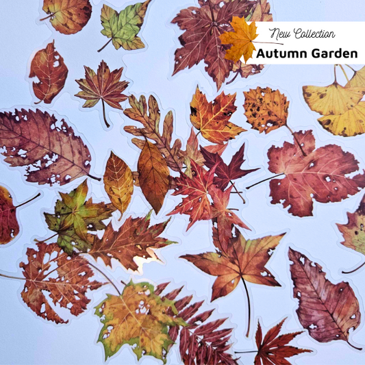 The Turtle Journal - Maple Leaf PET Sticker Set (pack 20) - Autumn Garden Collection - Maple Leaves - Browns, PET Plastic Durable Scrapbooking Journaling Stickers Set of 20 - Australian Paper Crafting Supplies