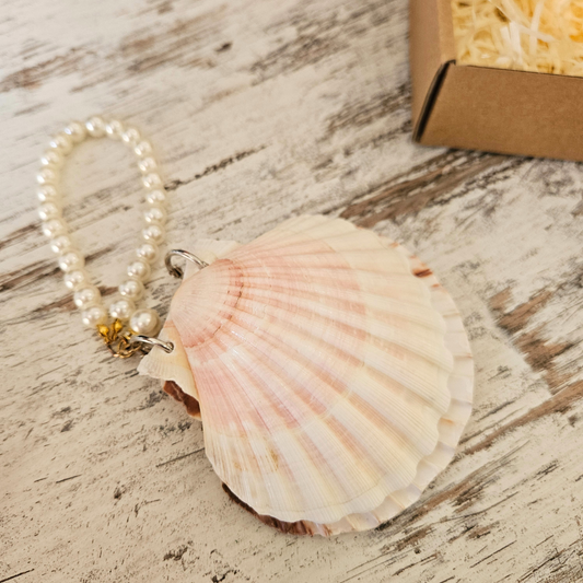 Shell Mixed Media Journal - Gift Boxed-Rachel The Turtle Journal