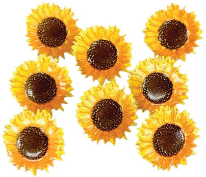 Brads Journaling Split Pins - Eyelet Outlet (12 pack)-Sunflowers-Brads Journaling Split Pins - Eyelet Outlet (12 pack) The Turtle Journal Aussie Paper Crafting Supplies-Rachel The Turtle Journal