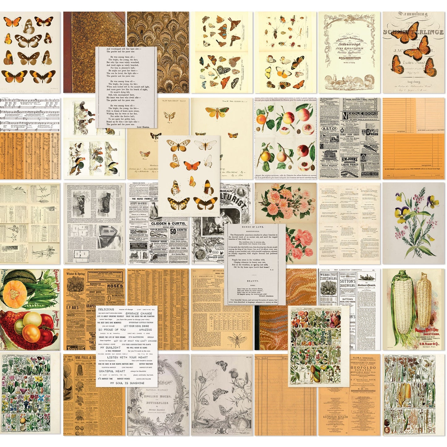 Peach Collage Sheets - 6 x 8 inch Patterned Paper - 49 and Market-Peach Collage Sheets - 6 x 8 inch Patterned Paper - 49 and Market - Aussie Paper Crafting - The Turtle Journal-Rachel The Turtle Journal