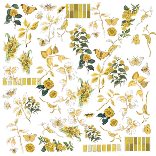 Color Swatch: Ochre Acetate Assortment - 49 and Market (64 pieces)-Color Swatch: Ochre Acetate Assortment - 49 and Market (64 pieces) - The Turtle Journal-Rachel The Turtle Journal