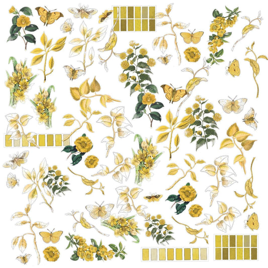 Color Swatch: Ochre Acetate Assortment - 49 and Market (64 pieces)-Color Swatch: Ochre Acetate Assortment - 49 and Market (64 pieces) - The Turtle Journal-Rachel The Turtle Journal