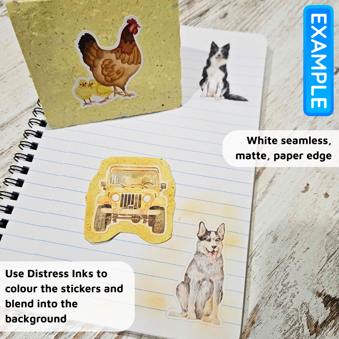 Fairy Garden Matte Sticker Set (2 sheets) - The Turtle Journal-Fairy Garden Matte Sticker Set (2 sheets) - The Turtle Journal Journaling Supplies-Rachel The Turtle Journal