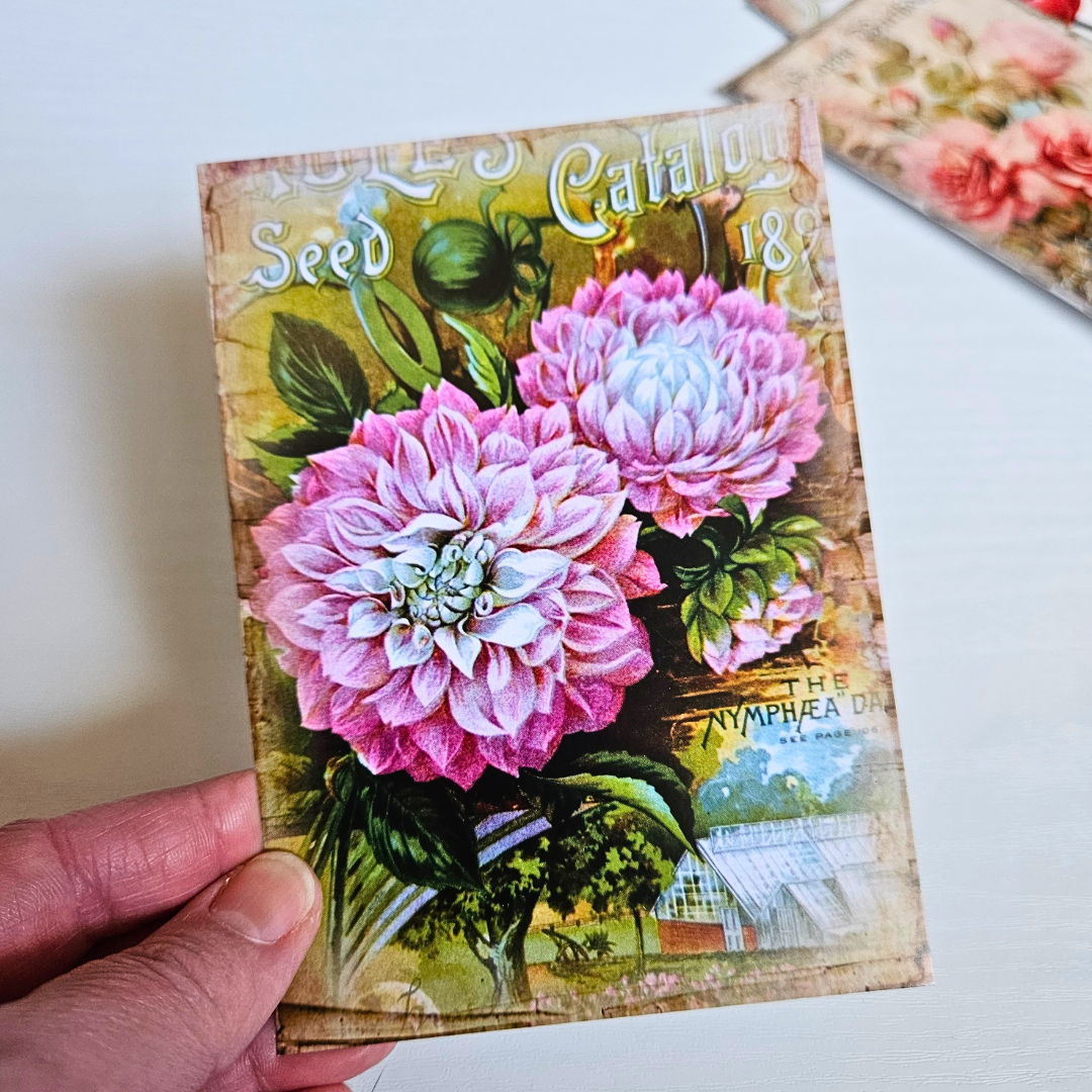 Bulb and Seed Postcard Set (12 piece)