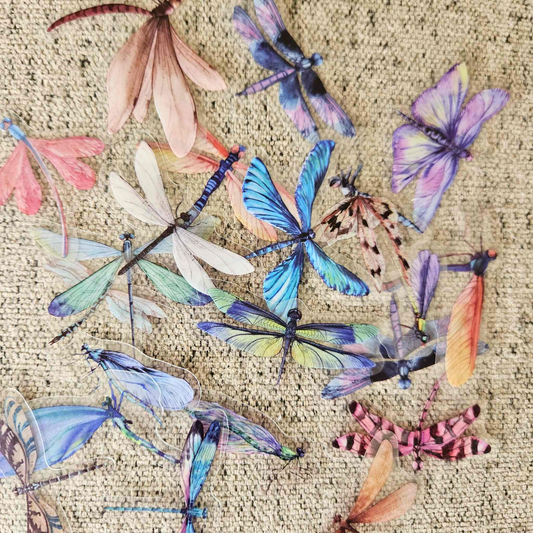 The Turtle Journal - Australiana Stickers PET Kiss Cut Parrots Kookaburra Australian Birds Flora and Fauna Leaves Wildflowers Aussie Themed Scrapbooking Journaling