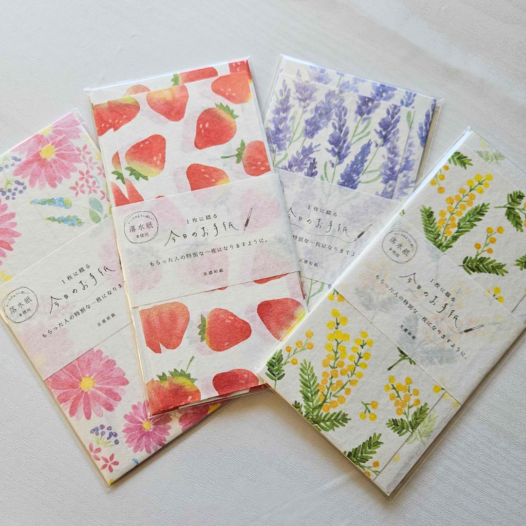 DL Envelope Paper Set - Today's Letter From Japan-DL Envelope Paper Set - Today's Letter From Japan - The Turtle Journal-Rachel The Turtle Journal