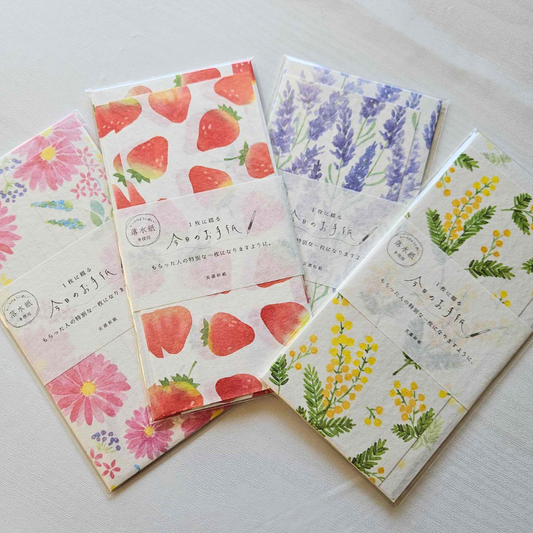 DL Envelope Paper Set - Today's Letter From Japan-DL Envelope Paper Set - Today's Letter From Japan - The Turtle Journal-Rachel The Turtle Journal
