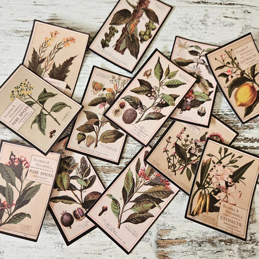 Orchard Illustration Sticker Set (12 pack)-Rachel The Turtle Journal