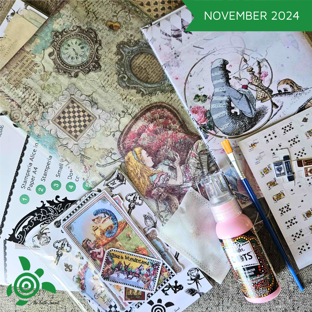 Turtle Treasure Box Subscription - Rachel The Turtle Journal