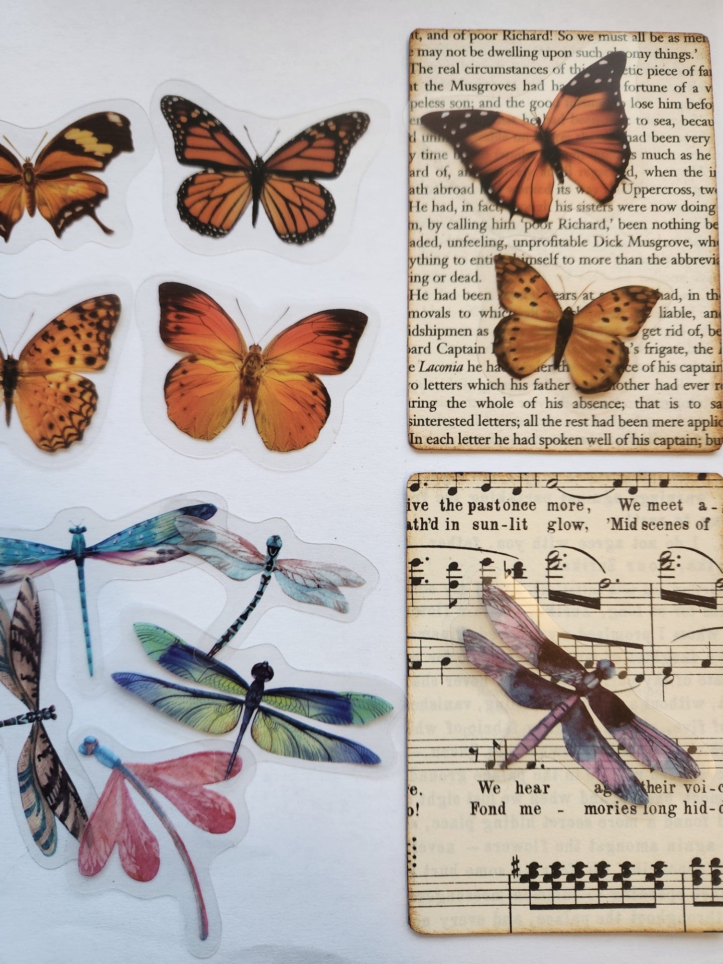 Australiana Stickers (15-20 pieces)-Nature Scrapbooking Stickers Australiana Parrots Dragonflies Kookaburra-Rachel The Turtle Journal