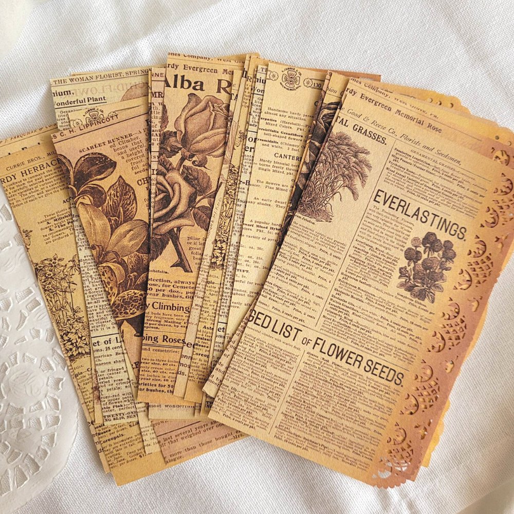 Floral Lace Paper Pack (20 pack) - Rachel The Turtle Journal - Amber (20 pack) - -