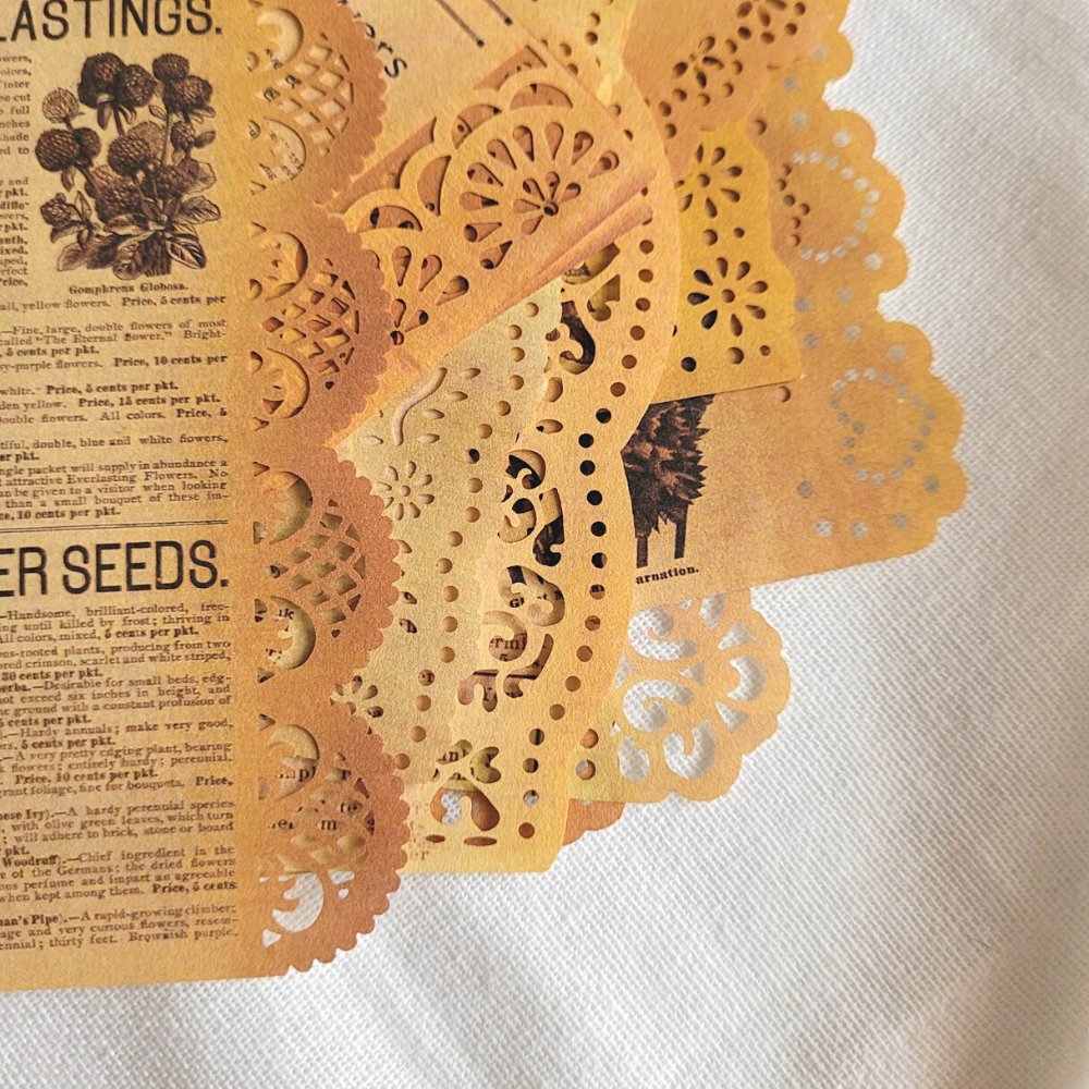 Floral Lace Paper Pack (20 pack) - Rachel The Turtle Journal - Driftwood (20 pack) - -
