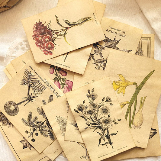 Mini Aged Botanical Illustrations Set - 17 piece - Rachel The Turtle Journal - 1 set (17 pieces) - -