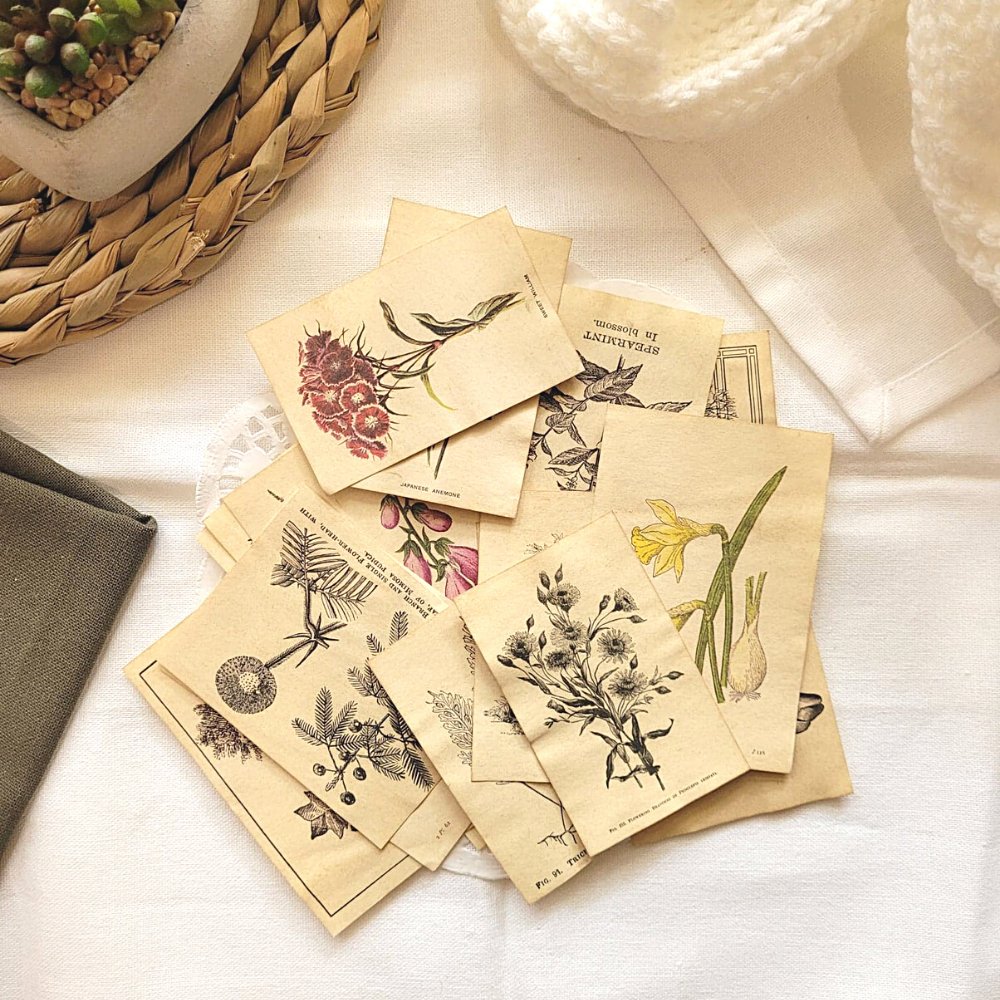 Mini Aged Botanical Illustrations Set - 17 piece - Rachel The Turtle Journal - 1 set (17 pieces) - -