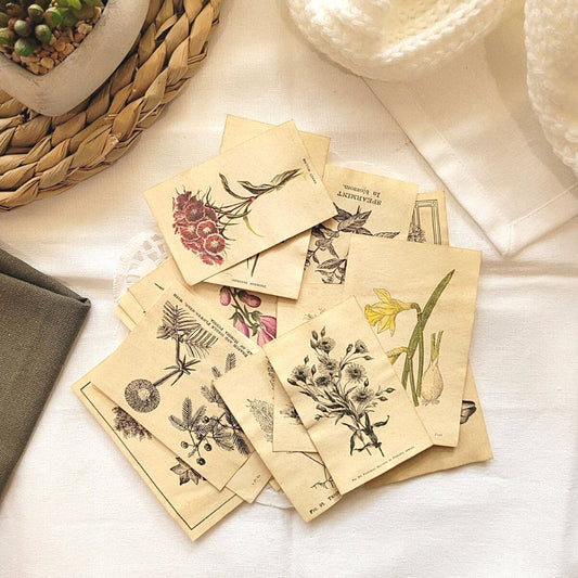Mini Aged Botanical Illustrations Set - 17 piece - Rachel The Turtle Journal - 1 set (17 pieces) - -