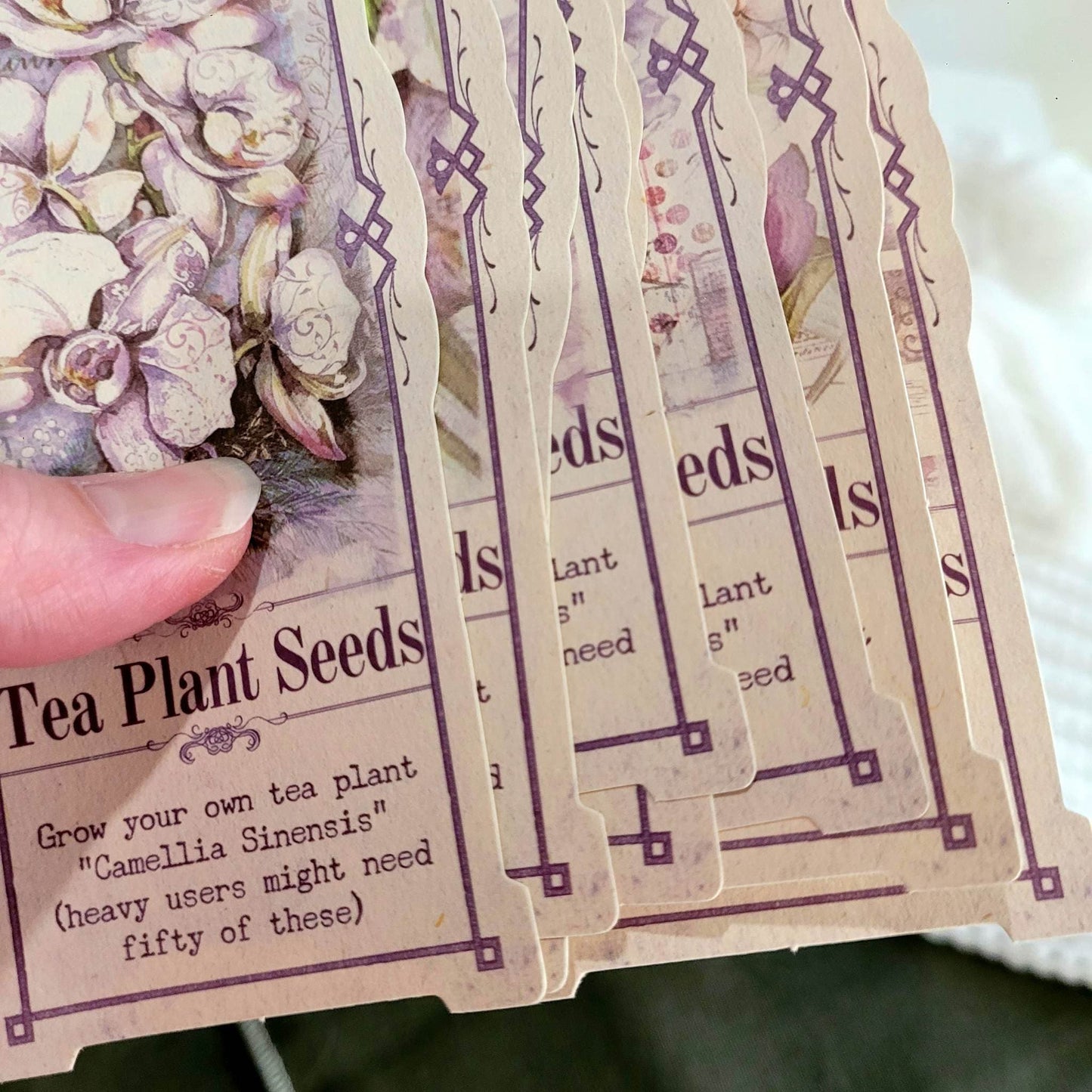 Serenade Cardstock Piece Set - 8 piece - Rachel The Turtle Journal - Lilac Dreams (8 piece) - -