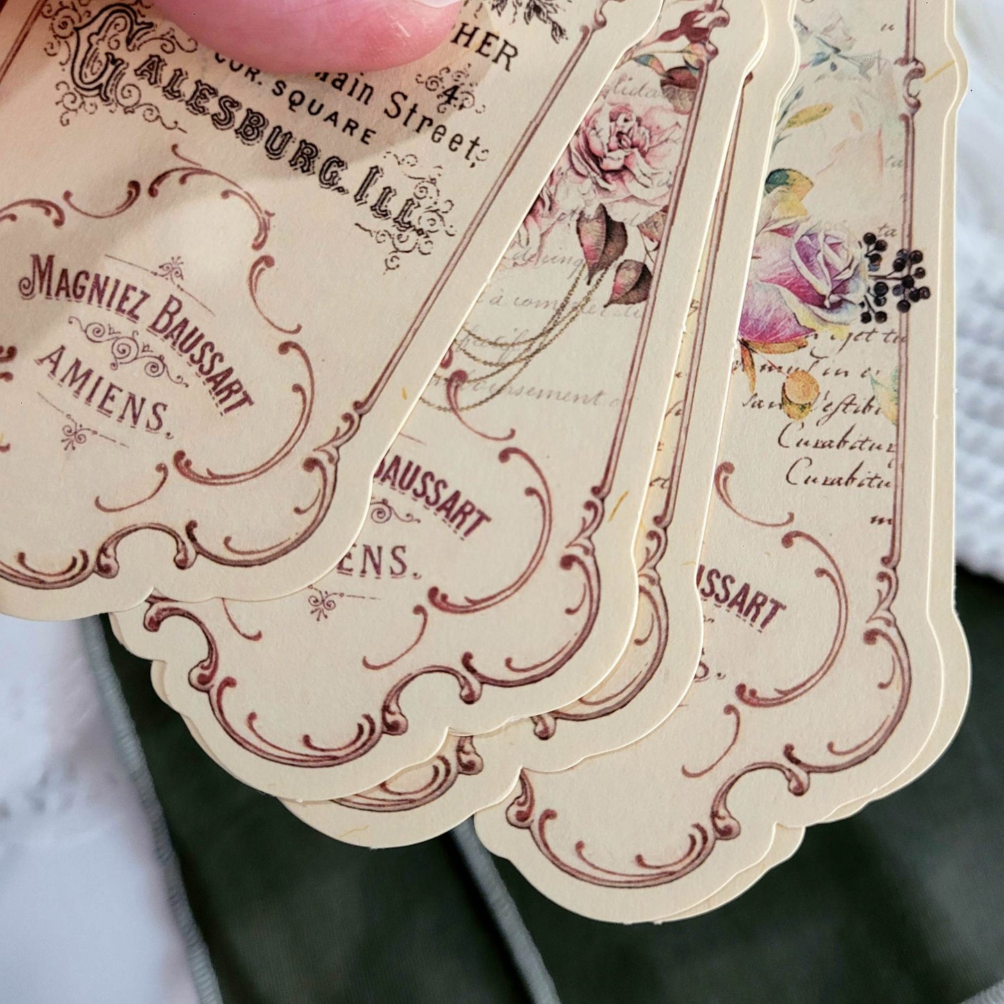 Serenade Cardstock Piece Set - 8 piece - Rachel The Turtle Journal - Victorian Society (8 piece) - -
