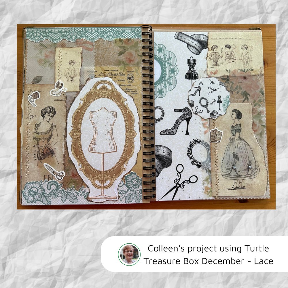 Turtle Printable Box Subscription - Rachel The Turtle Journal - - -