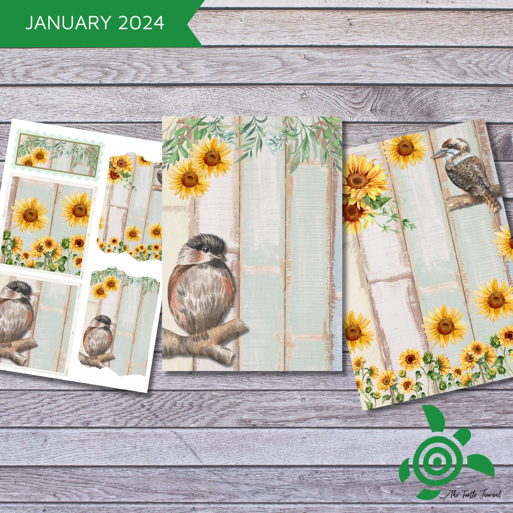 Turtle Printable Box Subscription - Rachel The Turtle Journal - - -