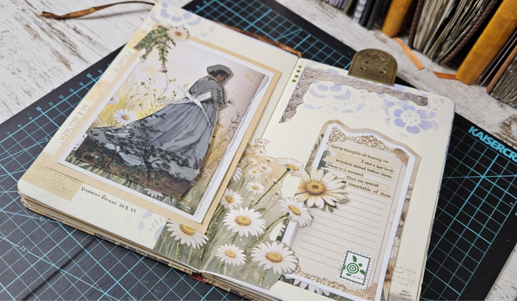 All Products - Rachel The Turtle Journal