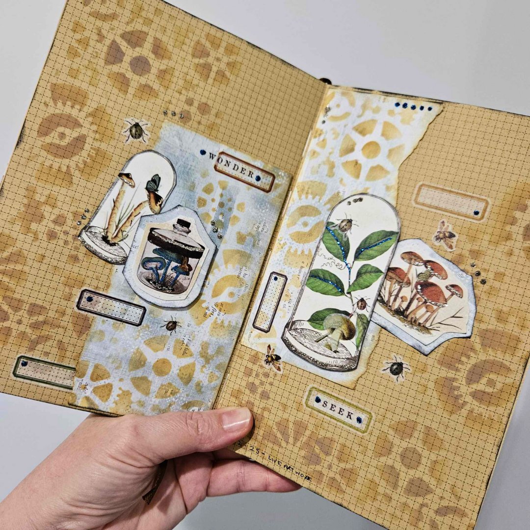 All Products - Rachel The Turtle Journal