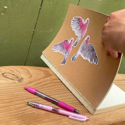 Galahs Australian Birds Sticker Sheet - Bridget Farmer