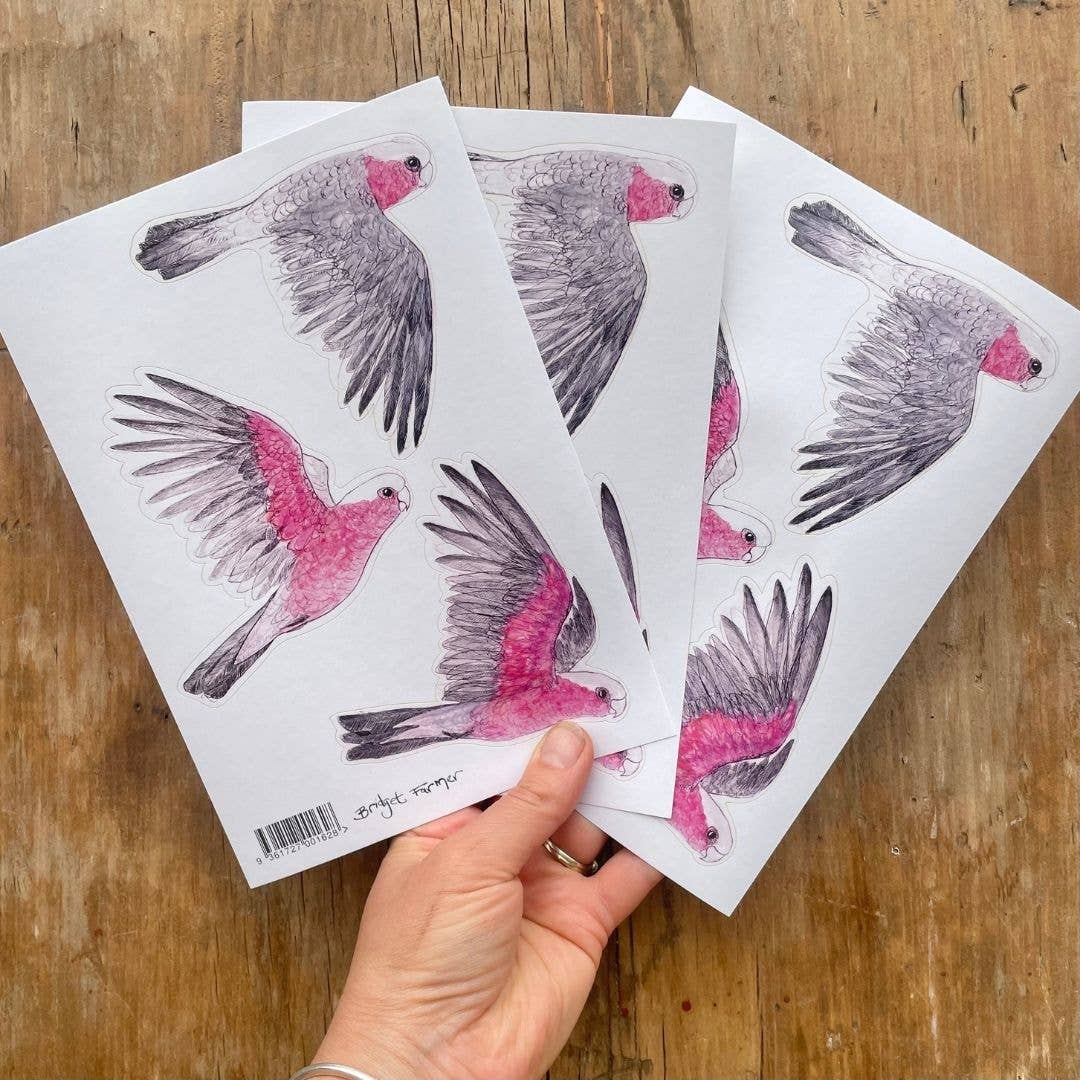Galahs Australian Birds Sticker Sheet - Bridget Farmer