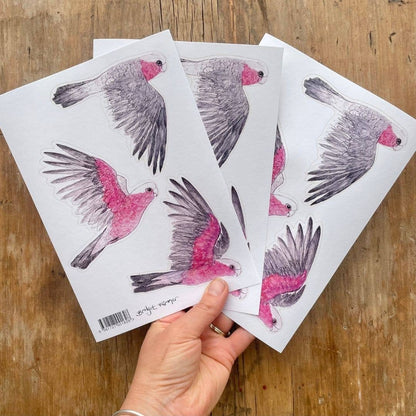 Galahs Australian Birds Sticker Sheet - Bridget Farmer