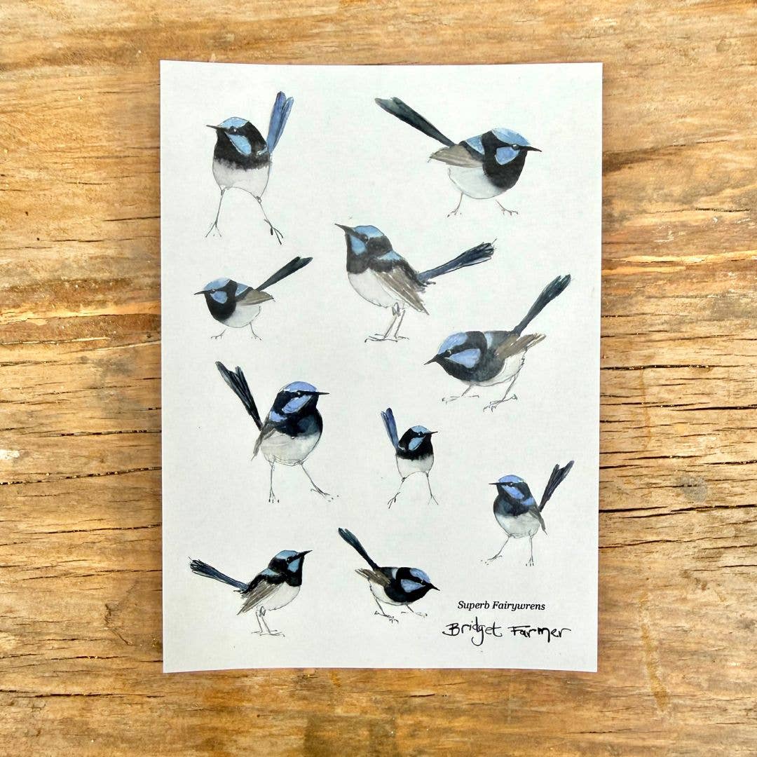 Fairywren Sticker Sheet (A6) - Bridget Farmer-Rachel The Turtle Journal