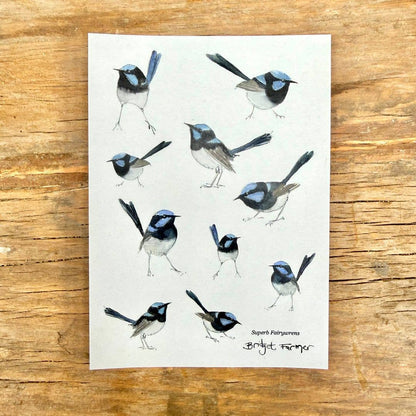 Fairywren Sticker Sheet (A6) - Bridget Farmer-Rachel The Turtle Journal