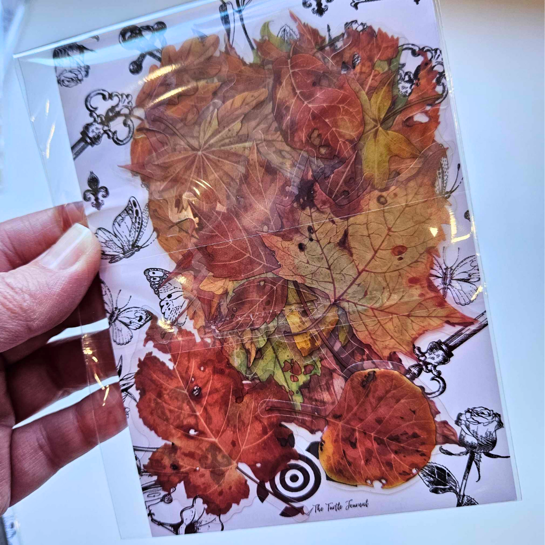 The Turtle Journal - Maple Leaf PET Sticker Set (pack 20) - Autumn Garden Collection - Maple Leaves - Browns, PET Plastic Durable Scrapbooking Journaling Stickers Set of 20 - Australian Paper Crafting Supplies