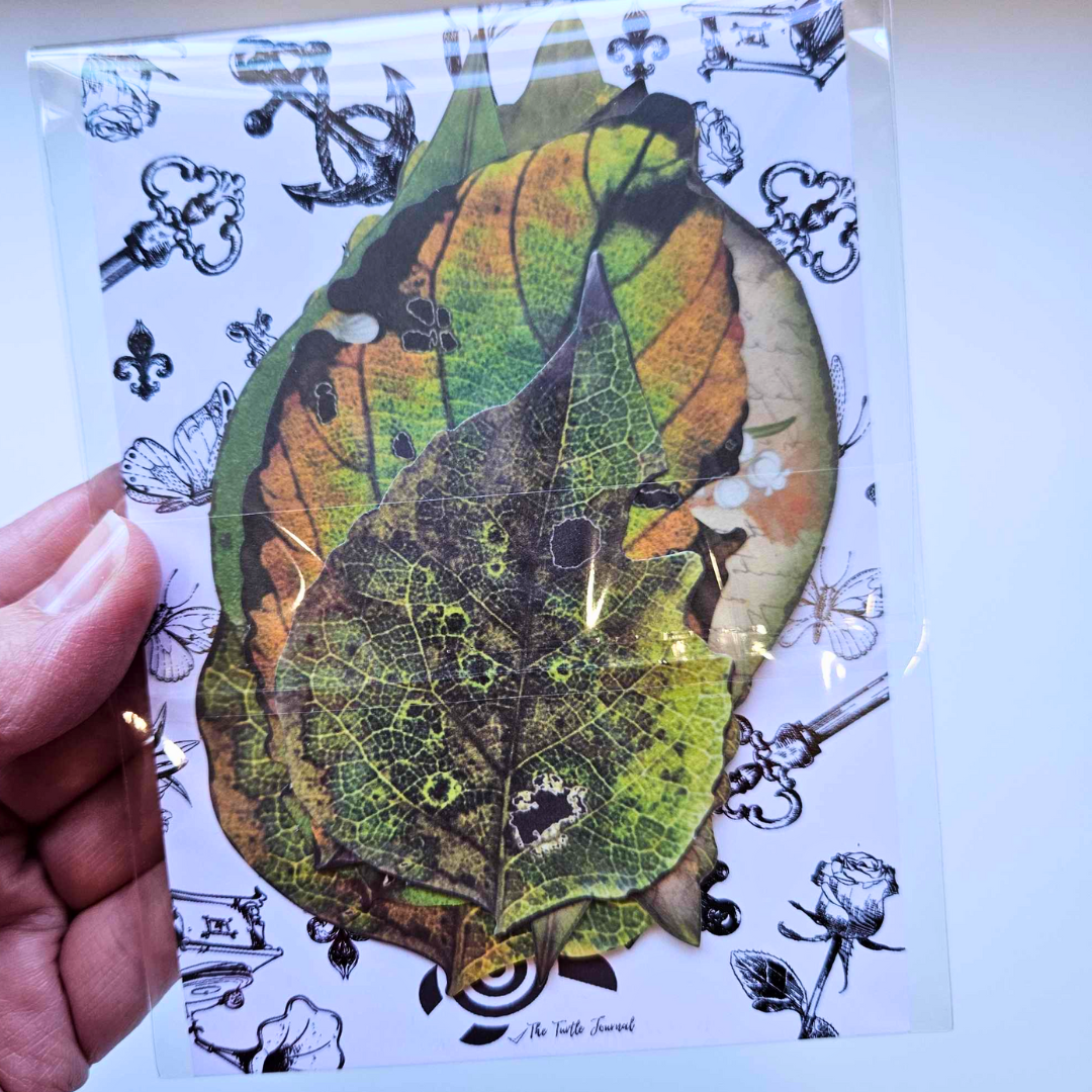 The Turtle Journal - Die cut Cardstock Diecut Leaves Green Mottled Browns Garden Outdoors Paper Crafting Autumn Fall Scrapbooking Australia Supplies Paper Piece Set