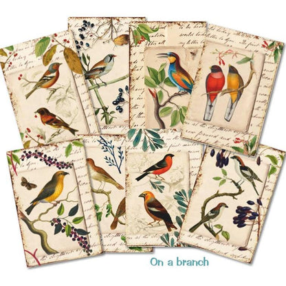On A Branch - MINI Scrapbook Paper-Rachel The Turtle Journal