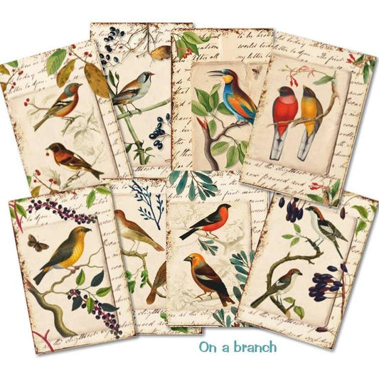 On A Branch - MINI Scrapbook Paper-Rachel The Turtle Journal