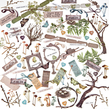 Die-cut Cardstock Embellishments Nature Study - 49 and Market Aussie Paper Crafting - The Turtle Journal - Adelaide based - Die Cut cardstock illustrated pieces journaling scrapbooking junk ephemera