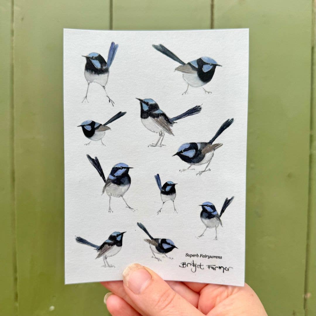 Fairywren Sticker Sheet (A6) - Bridget Farmer-Rachel The Turtle Journal