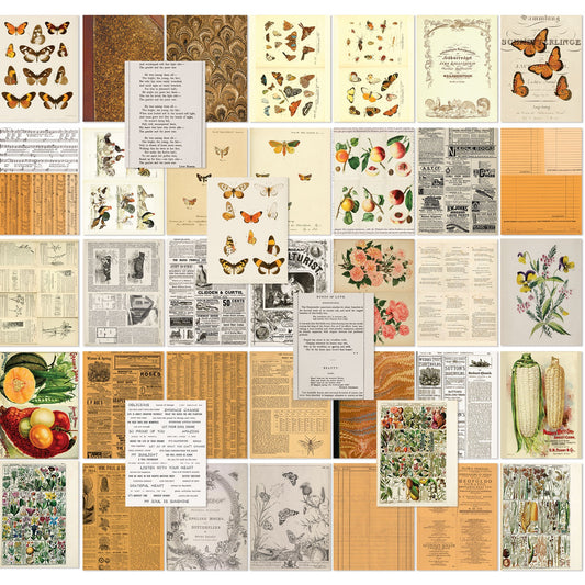 Peach Collage Sheets - 6 x 8 inch Patterned Paper - 49 and Market-Peach Collage Sheets - 6 x 8 inch Patterned Paper - 49 and Market - Aussie Paper Crafting - The Turtle Journal-Rachel The Turtle Journal