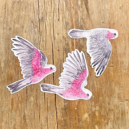 Galahs Australian Birds Sticker Sheet - Bridget Farmer