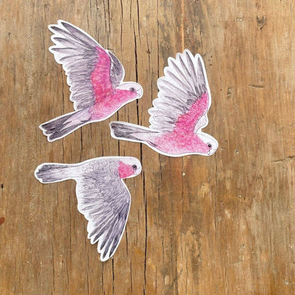 Galahs Australian Birds Sticker Sheet - Bridget Farmer