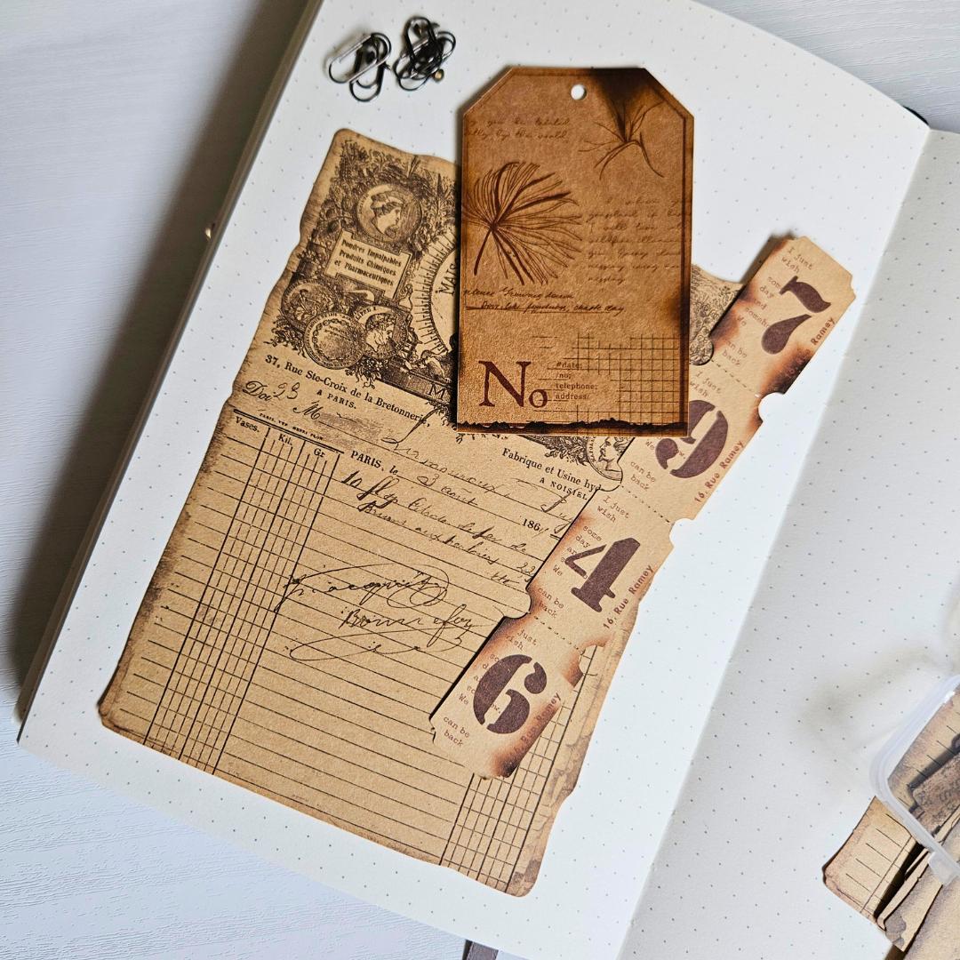 Aged Ephemera Coffee-Dyed Set (25 piece)-Rachel The Turtle Journal