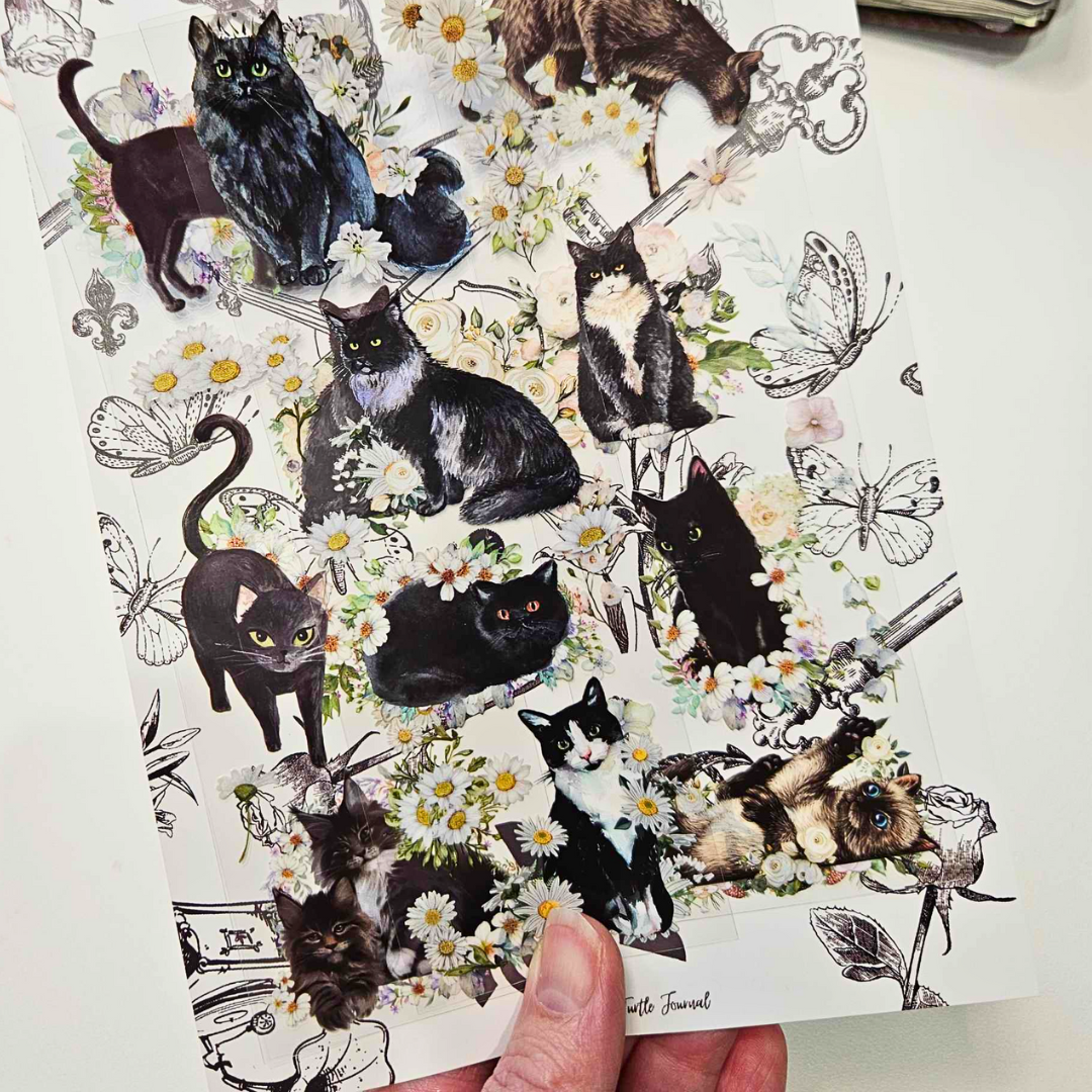 Black Cats PET Sticker Strip (3 sheets)