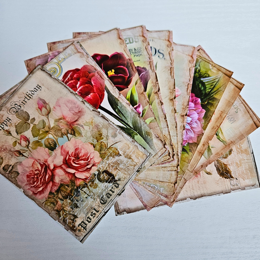 Bulb and Seed Postcard Set (12 piece)