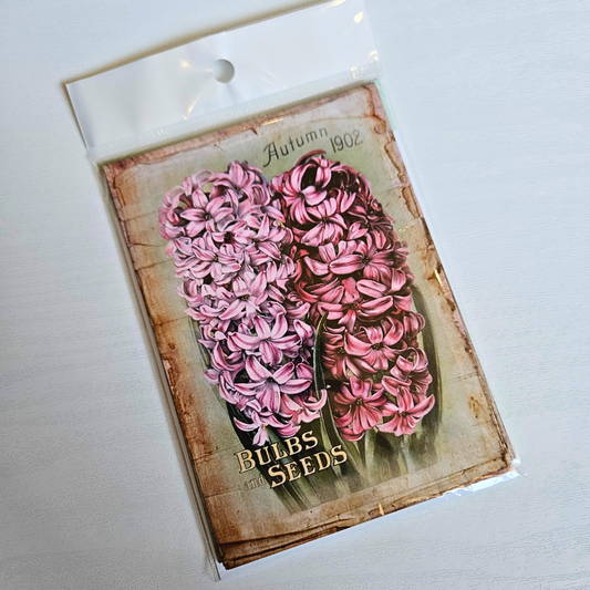 Bulb and Seed Postcard Set (12 piece)