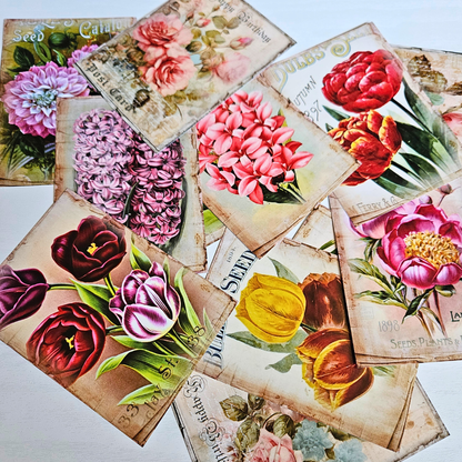 Bulb and Seed Postcard Set (12 piece)