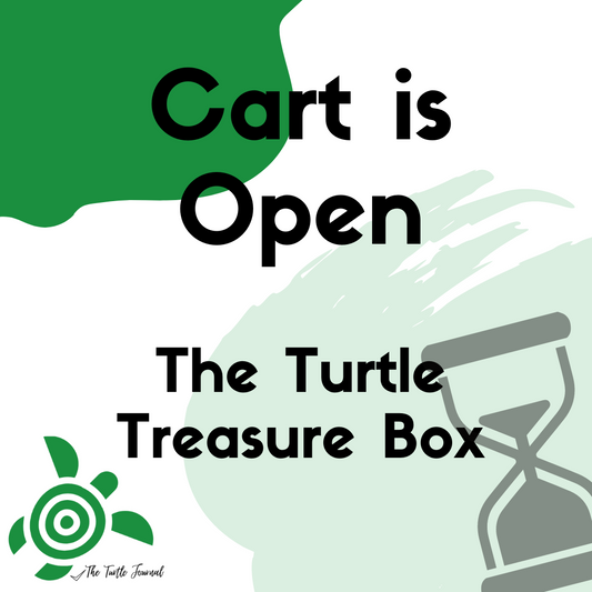 Turtle Treasure Box Subscription