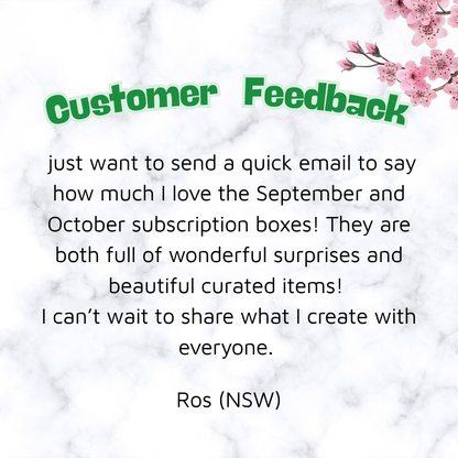 Turtle Treasure Box Subscription Kit-Papers Stickers Subscription Kit Box Monthly Craft Mystery Australia Paper Crafters-Rachel The Turtle Journal
