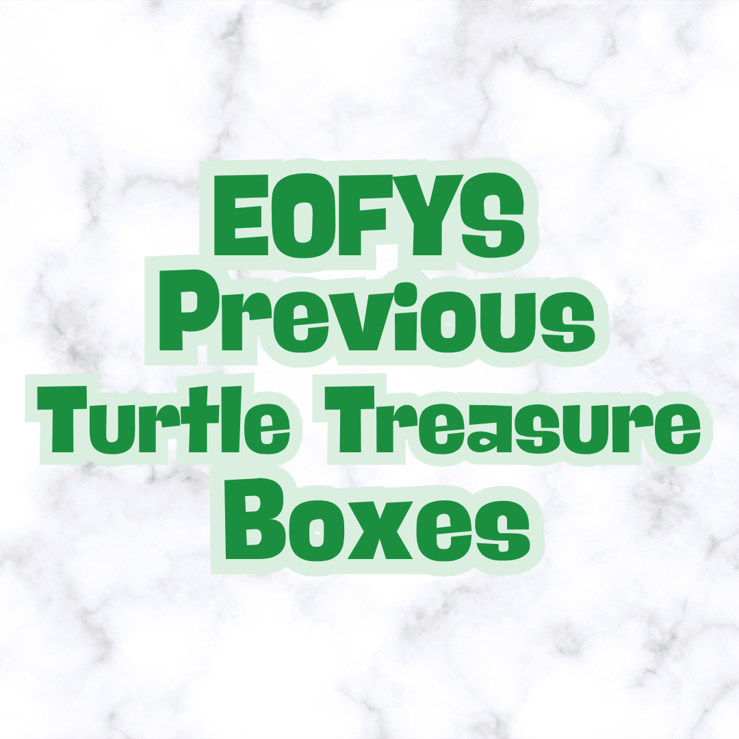 EOFYS Turtle Treasure Box *PREVIOUS BOXES*