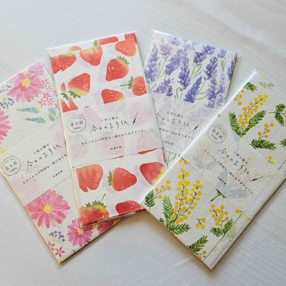 DL Envelope Paper Set - Today's Letter From Japan-DL Envelope Paper Set - Today's Letter From Japan - The Turtle Journal-Rachel The Turtle Journal