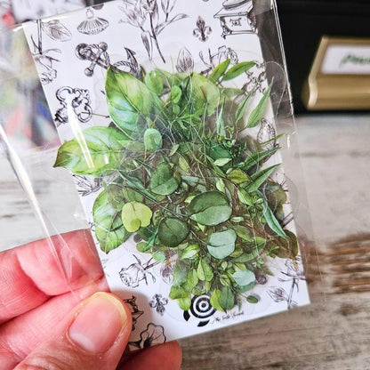 Australiana Stickers (14-20 pieces)-Nature Scrapbooking Stickers Australiana Parrots Dragonflies Kookaburra-Rachel The Turtle Journal